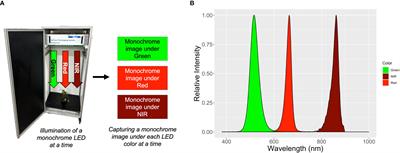 Image-based phenotyping to estimate anthocyanin concentrations in lettuce